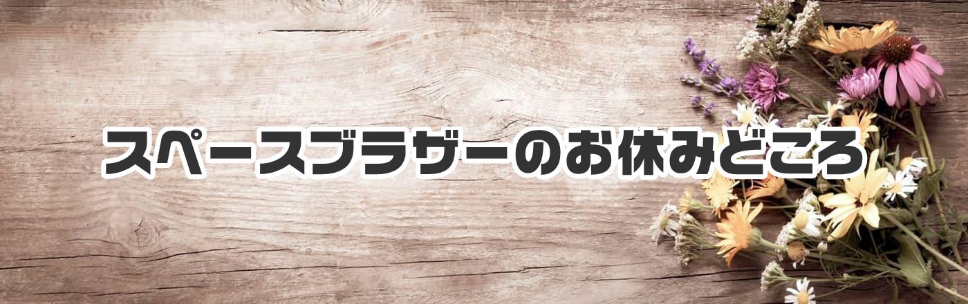 スペースブラザーのお休みどころ